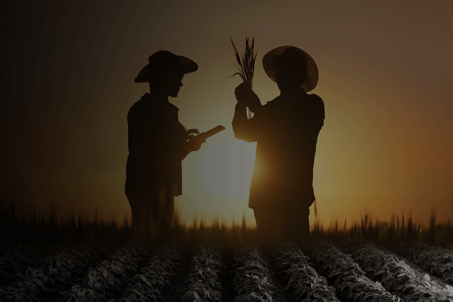 Manufacturing facility